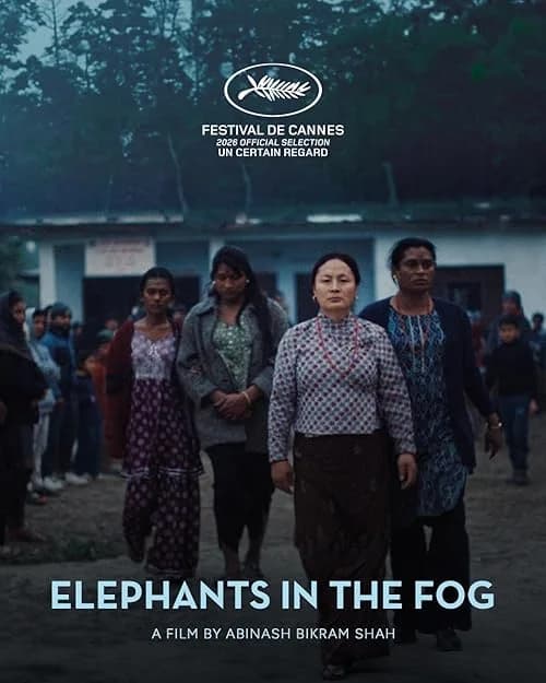 Elephants in the Fog film posteri